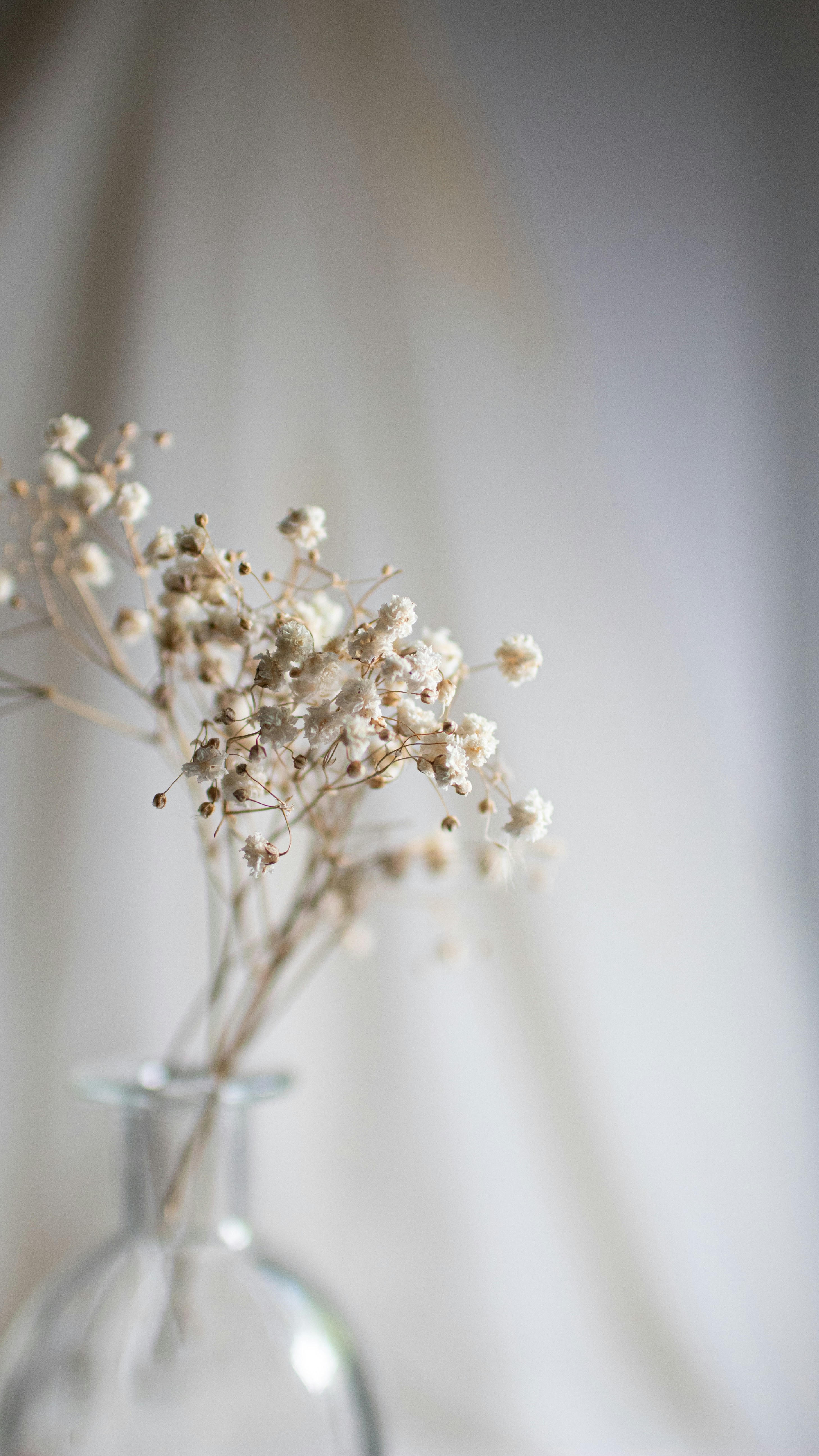 Minimalistischer Strauß weißer Blumen in einer Keramikvase